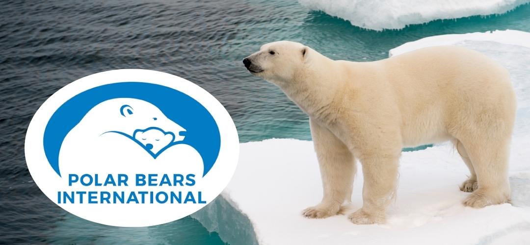 Polar Bears International